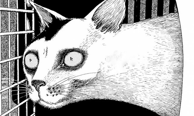 História em quadrinhos • Diário de um gato. Por Jonji Ito