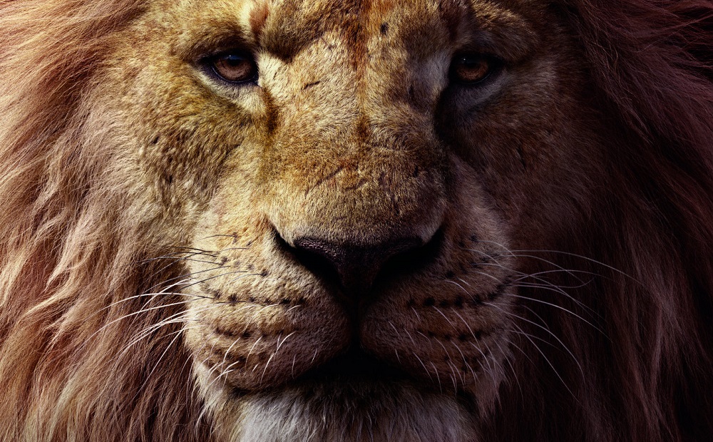 o rei leão poster final disney