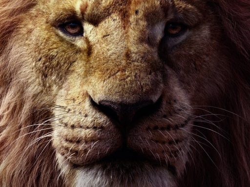 o rei leão poster final disney
