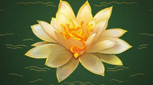 The White Lotus