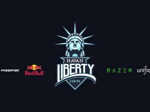 havan liberty esports