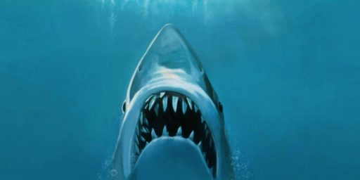 jaws