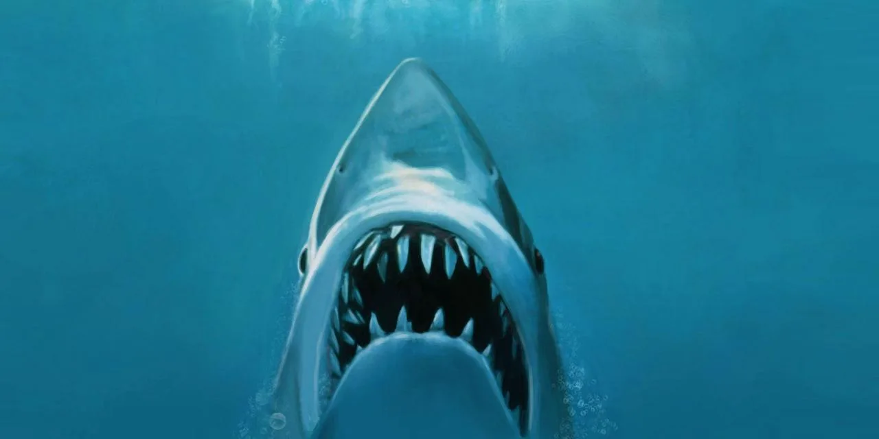 jaws