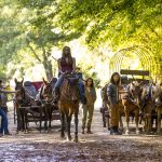 FOX Premium - The Walking Dead S9