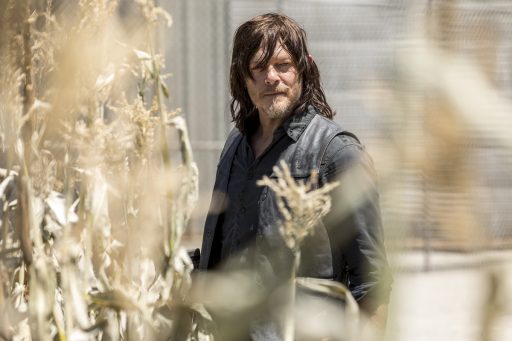 The Walking Dead: Daryl Dixon