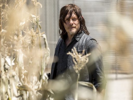 The Walking Dead: Daryl Dixon