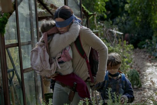 Netflix - Bird Box