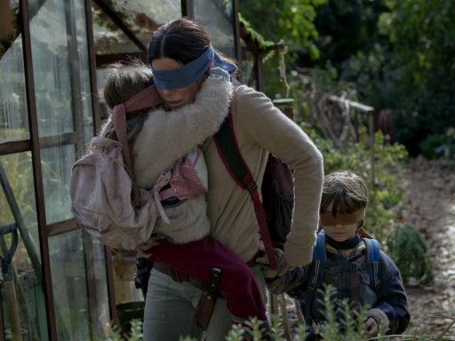 Netflix - Bird Box