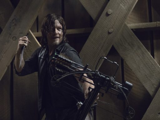 The Walking Dead Daryl Dixon