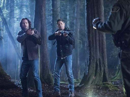 supernatural warner 14a temporada