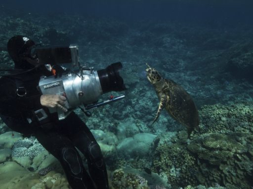 planeta hostil national geographic nat geo (1)