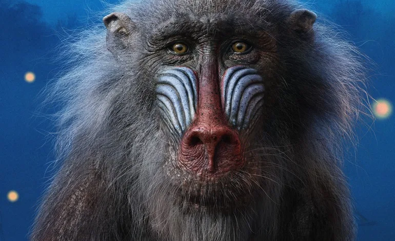 o rei leão disney live action cgi rafiki capa