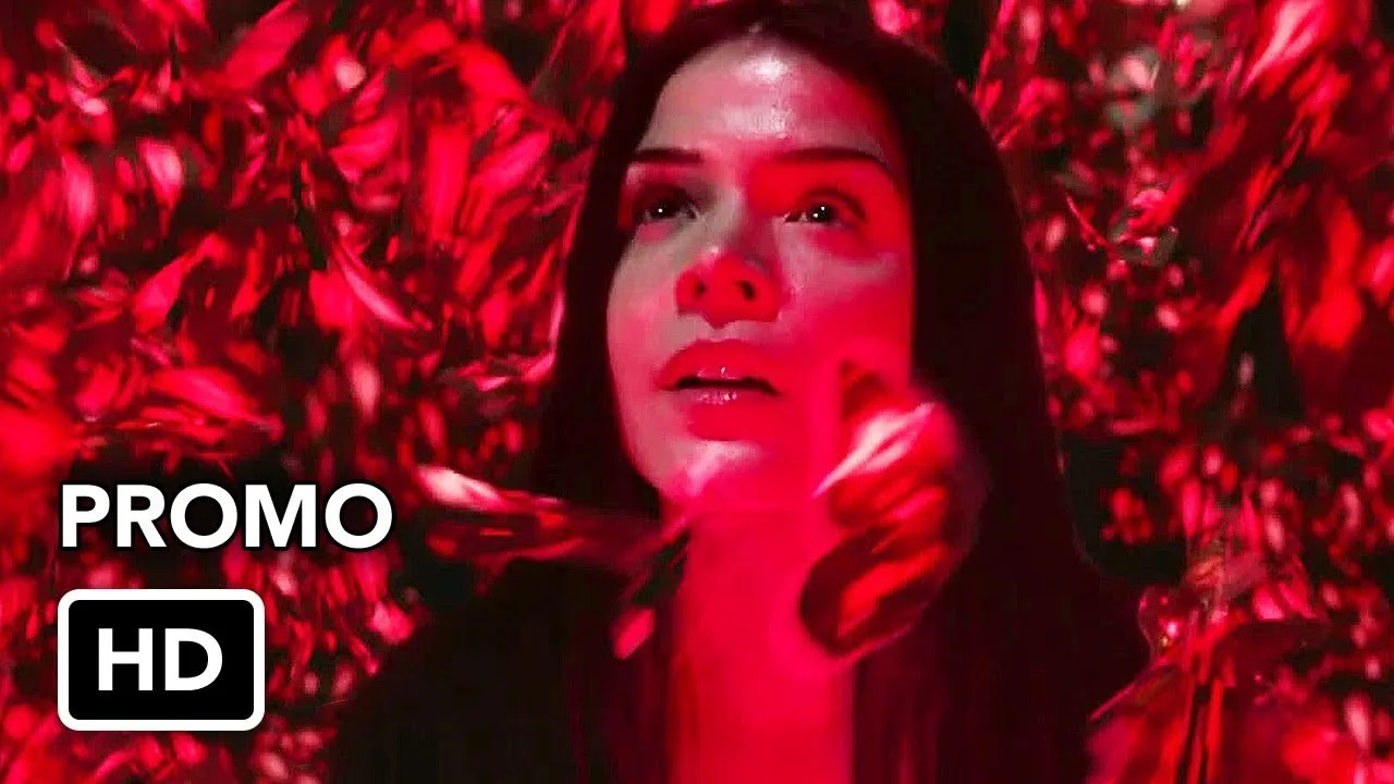 the 100 6x09