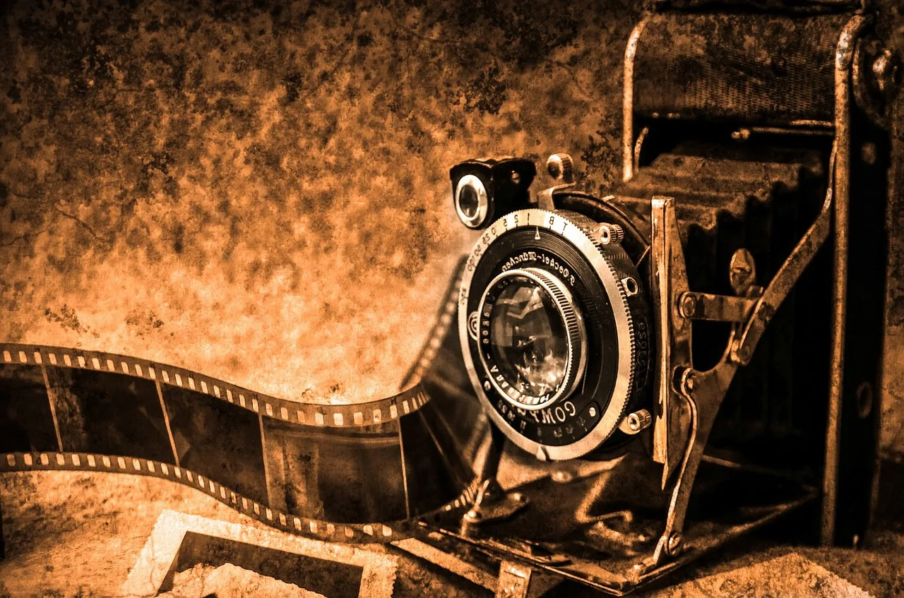 Imagem de PublicDomainPictures por Pixabay