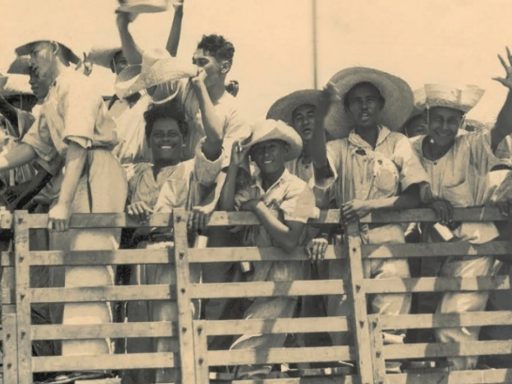 soldados de borracha Wolney Oliveira