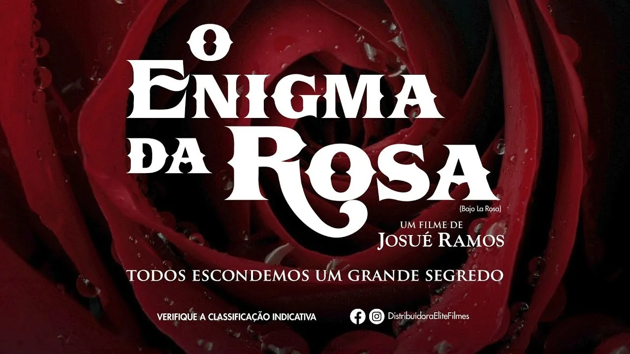 O Enigma da Rosa
