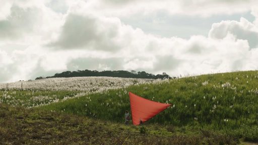 Açúcar | Filme de Renata Pinheiro e Sergio Oliveira