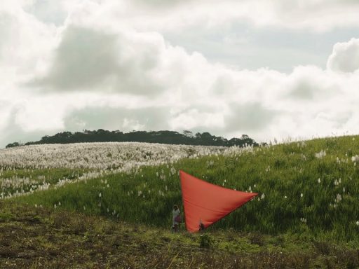 Açúcar | Filme de Renata Pinheiro e Sergio Oliveira