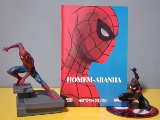 homem-aranha-história-de-vida-Esdras-Araújo-da-Silva-crítica.