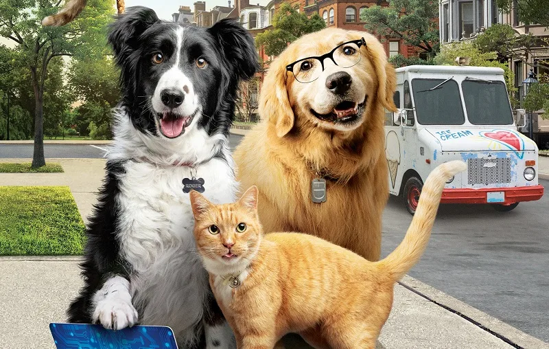 como-cães-e-gatos-3-peludos-unidos
