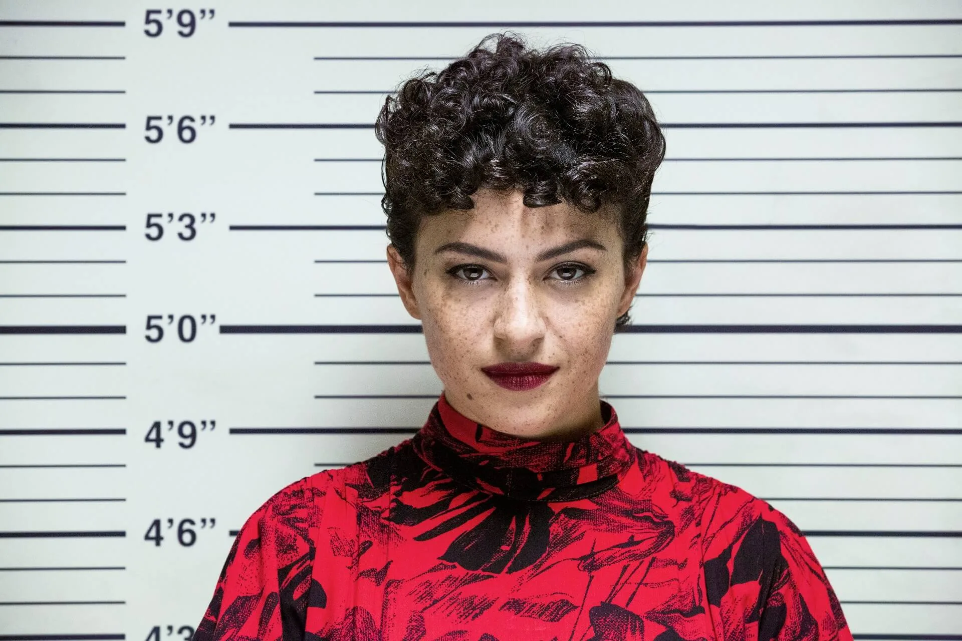 search party 3a temporada