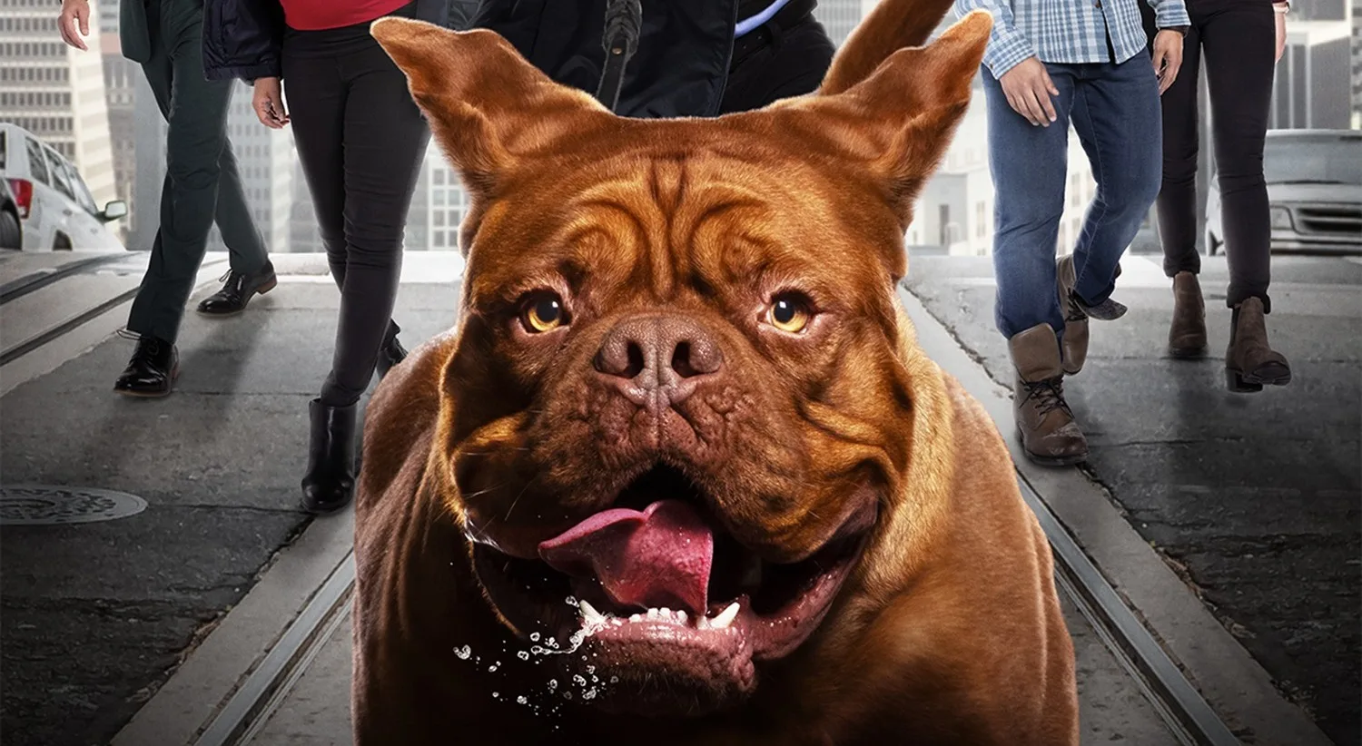 Turner-Hooch-serie-original-disney-plus