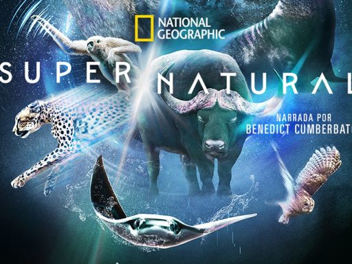 super-natural-docusserie-disney-plus-national-geographic