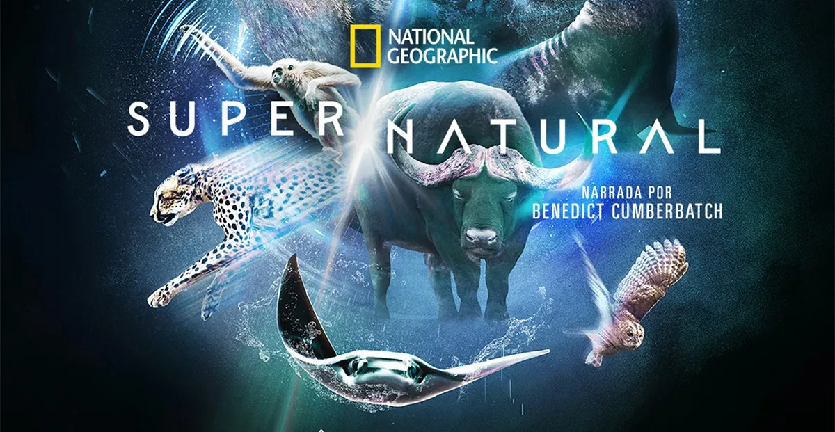 super-natural-docusserie-disney-plus-national-geographic