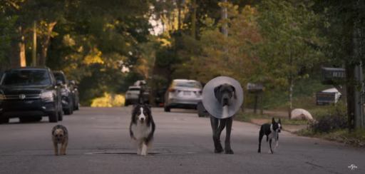 cena do trailer de ruim pra cachorro