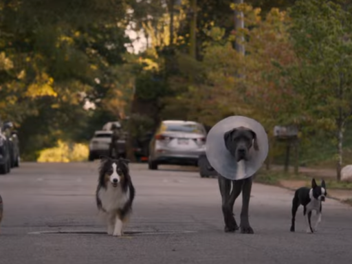 cena do trailer de ruim pra cachorro