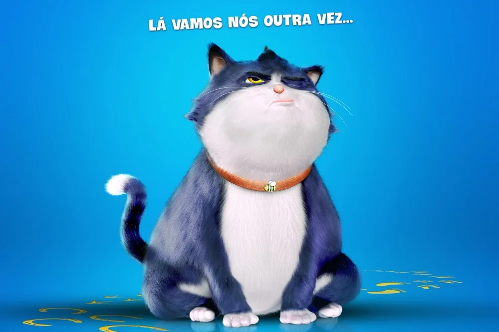 Um Gato de Sorte