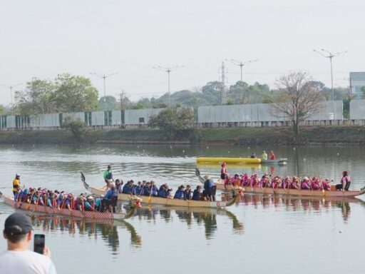 Festival Dragon Boat desembarca em SP