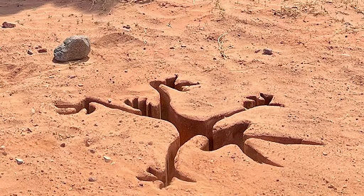 Coyote vs. Acme