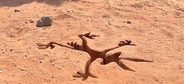 Coyote vs. Acme