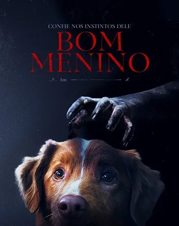 Bom Menino (Good Boy, 2025) - filme de terror da Paris Filmes 