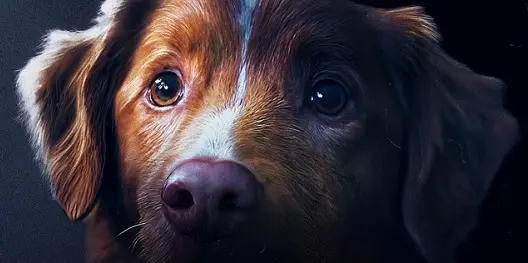 Bom Menino (Good Boy, 2025) - filme de terror da Paris Filmes