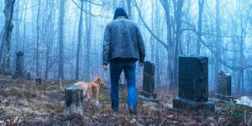 Bom Menino (Good Boy, 2025) - fatos e curiosidades do filme de terror dirigido por Ben Leonberg