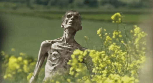 Extermínio A Evolução (28 Years Later, 2025) - fatos e curiosidades do filme