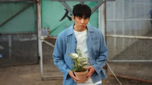 Fatos e Curiosidades de O Manipulado, série coreana disponível no Disney+