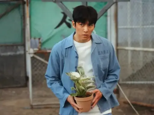 Fatos e Curiosidades de O Manipulado, série coreana disponível no Disney+