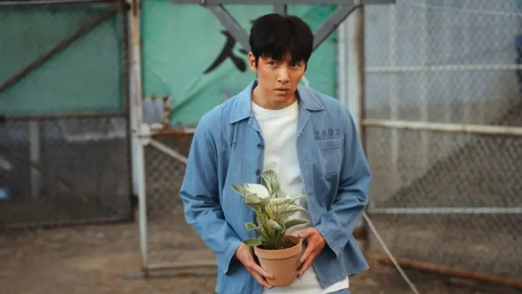 Fatos e Curiosidades de O Manipulado, série coreana disponível no Disney+