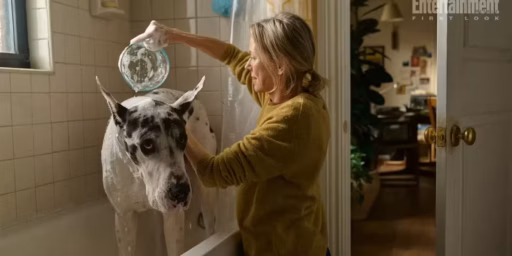 Fatos e curiosidades de O Amigo, filme com Naomi Watts e Astro, o Cão