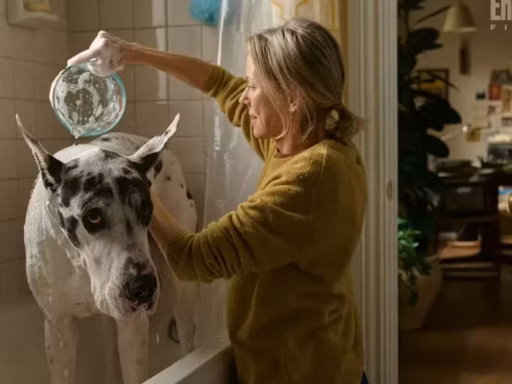 Fatos e curiosidades de O Amigo, filme com Naomi Watts e Astro, o Cão