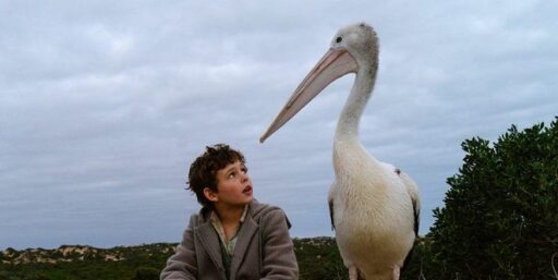Pelicano e seu amigo humano em Amigos Para Sempre (Storm Boy, 2019) - Crítica, fatos e curiosidades