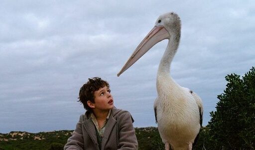 Pelicano e seu amigo humano em Amigos Para Sempre (Storm Boy, 2019) - Crítica, fatos e curiosidades