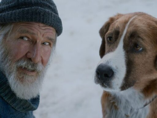 O Chamado da Floresta (The Call of the Wild, 2020) - Crítica do Filme