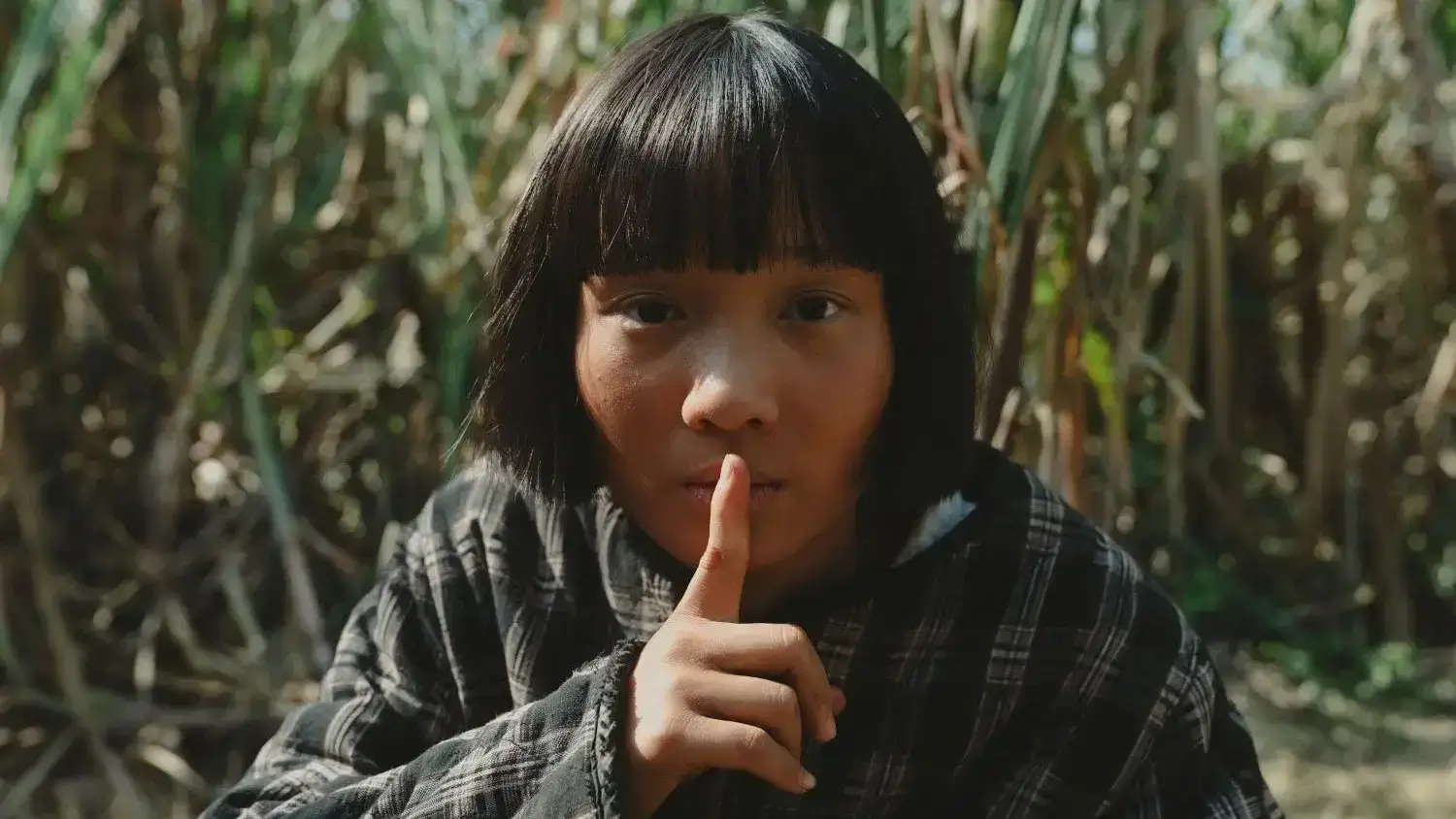 Uma História Nebulosa (2025) - Crítica e Fatos do Filme Taiwanês da Netflix