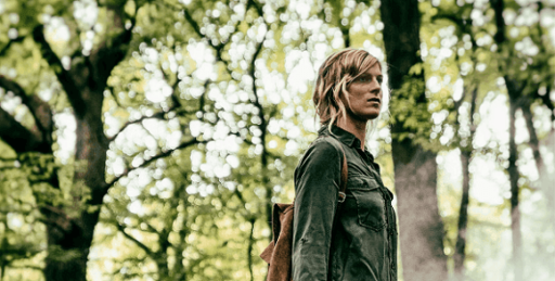 O Bosque 2017 Fatos da Serie Francesa disponivel na Netflix