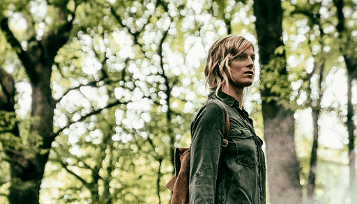 O Bosque 2017 Fatos da Serie Francesa disponivel na Netflix