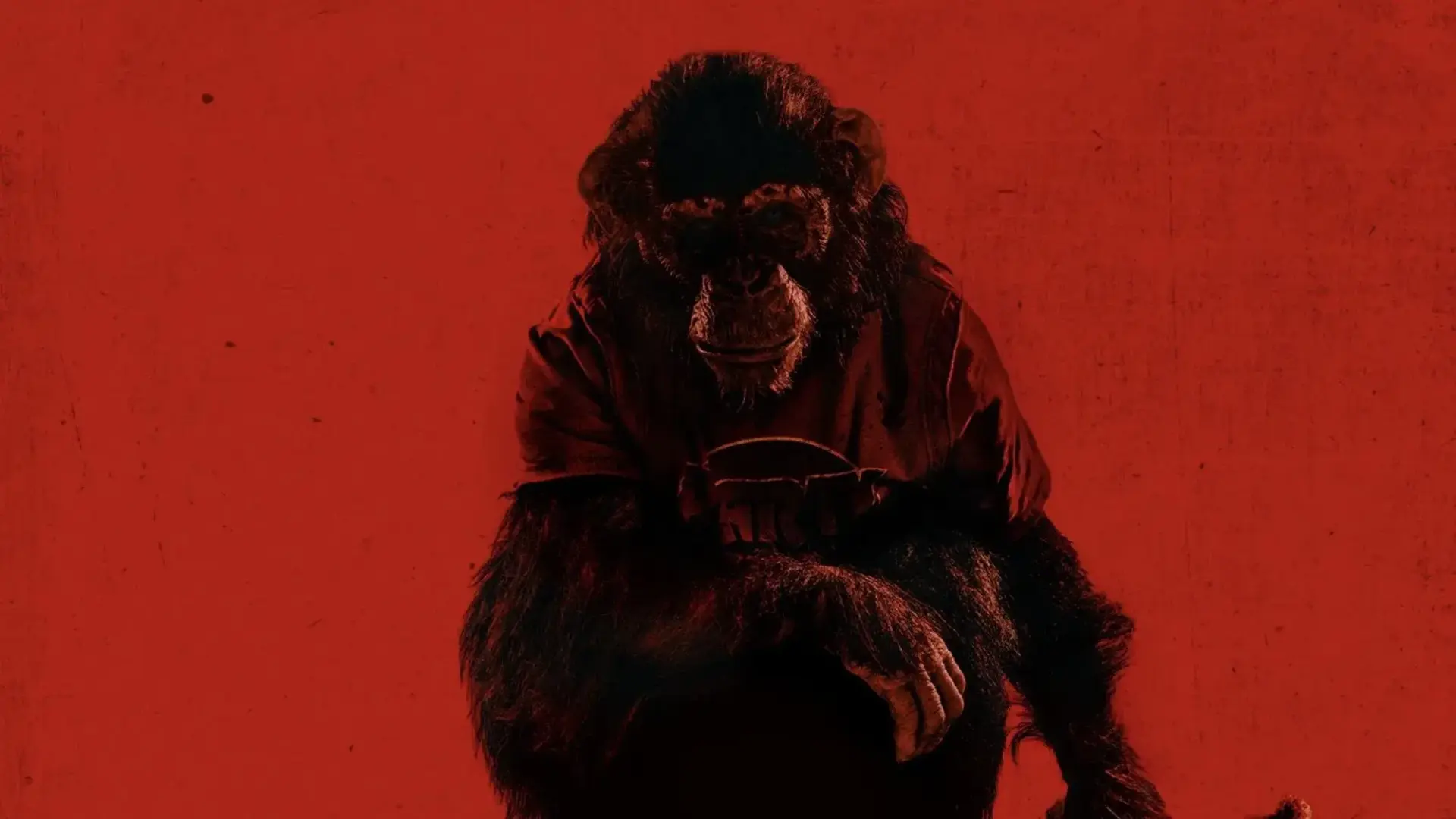 O Primata (Primate, 2025) - Crítica e Fatos do Filme de Terror do Parmount+